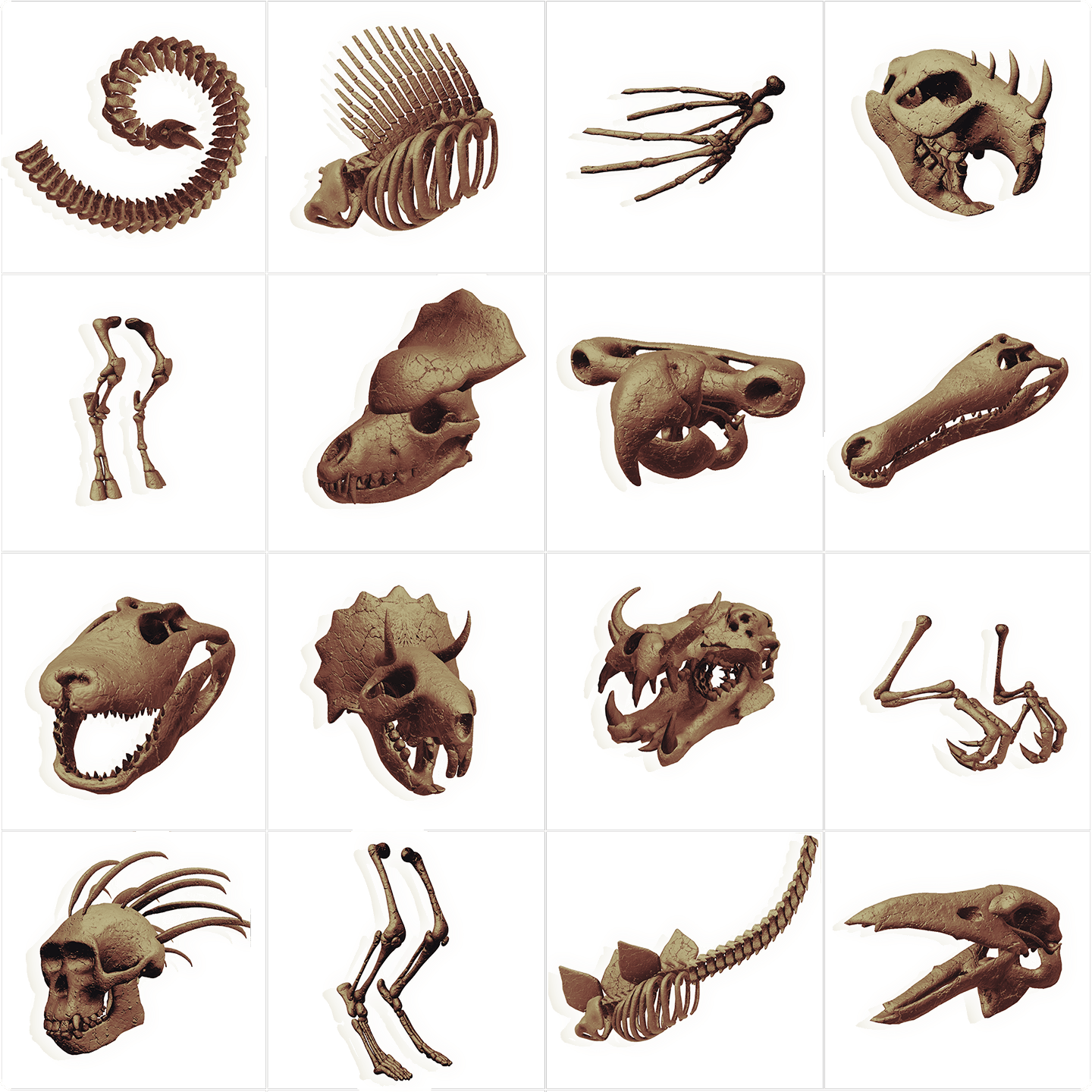 Bone grid